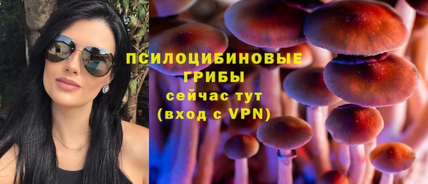 mdpv Алзамай