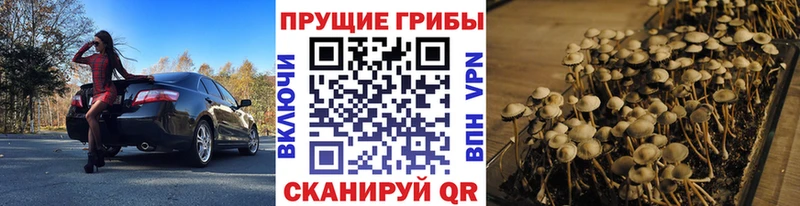 Галлюциногенные грибы мицелий  купить закладку  Кольчугино 